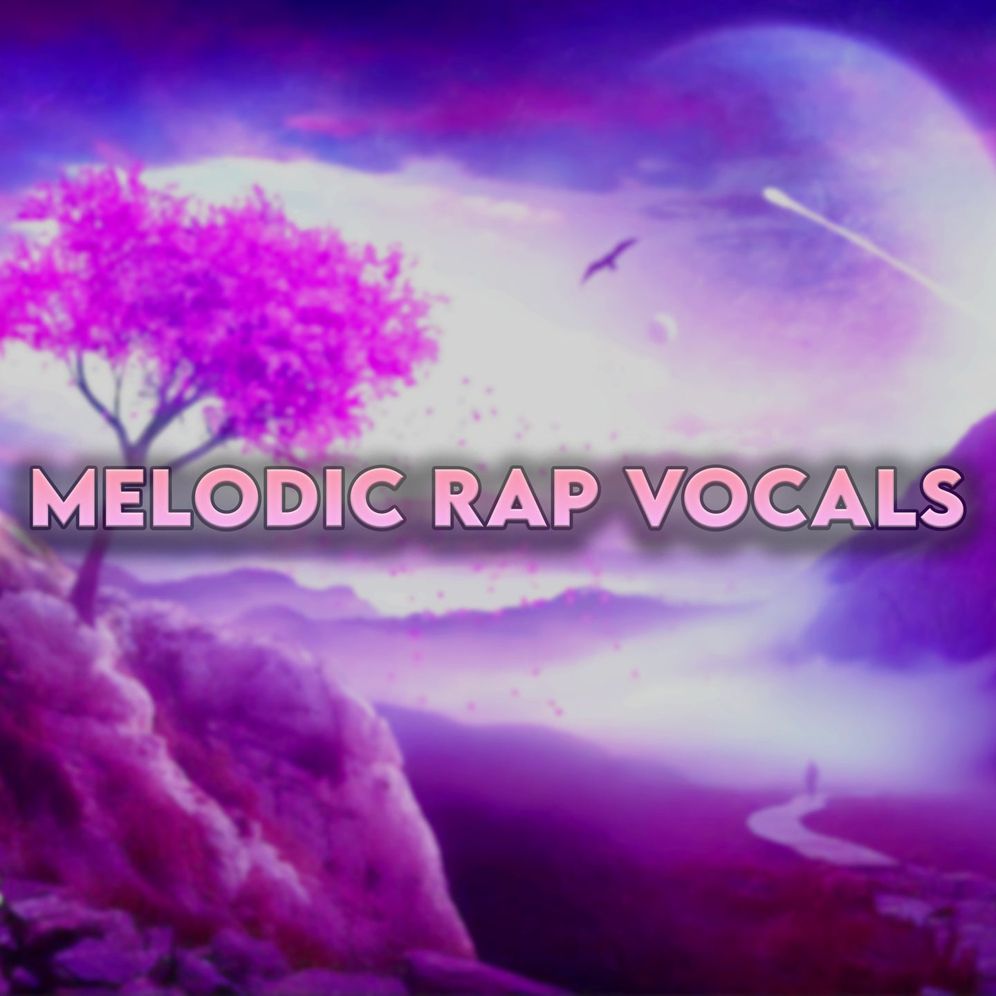 Melodic Rap Vocal Presets (5 PRESETS)